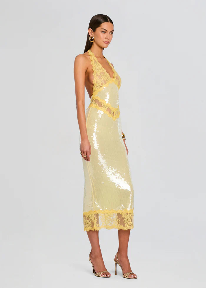 VICKY DRESS