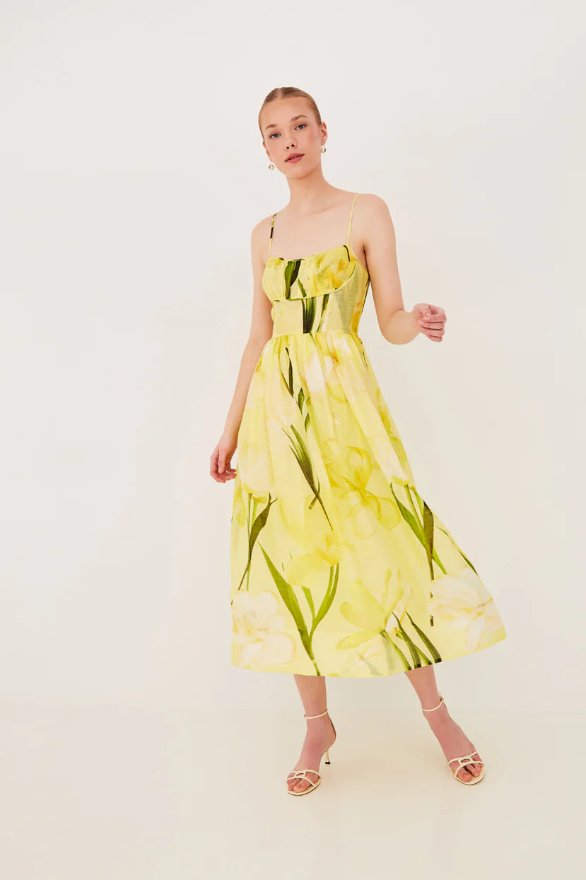ALBA MIDI DRESS